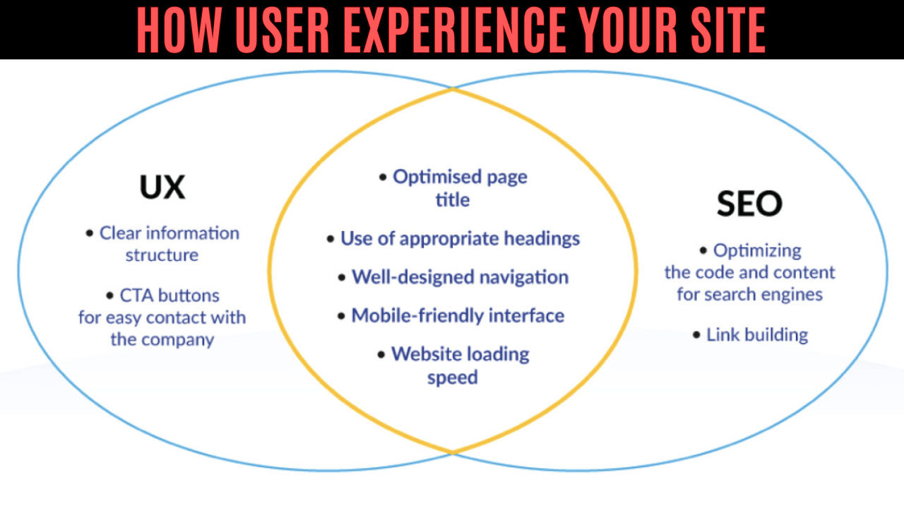 website ranking